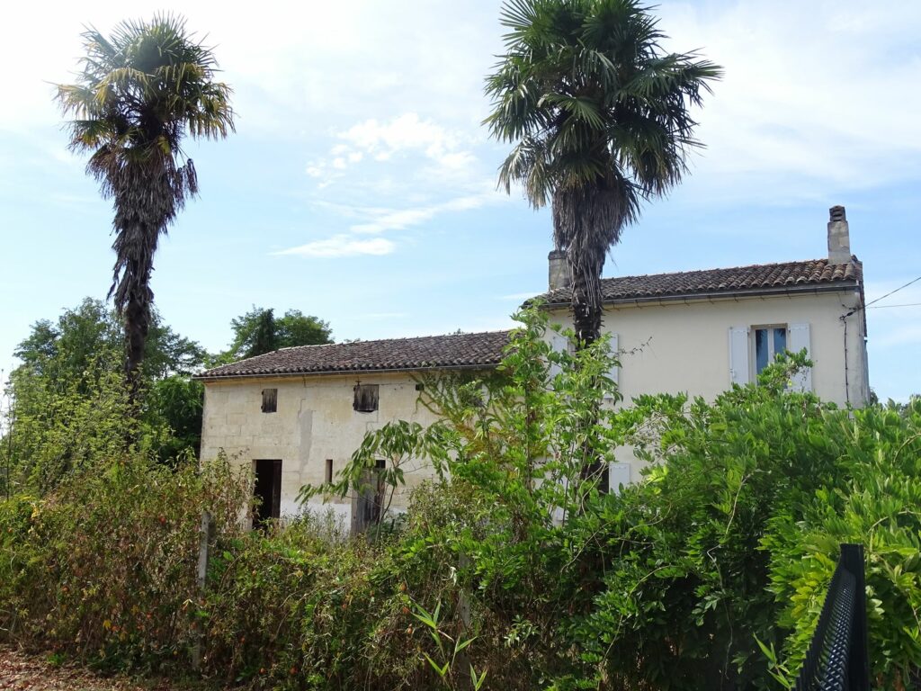 Maison à Saint-Denis-de-Pile (Gironde) vendue par LES PIGNONS VERTS